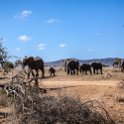 TZA MAR SerengetiNP 2016DEC24 SeroneraWest 004 : 2016, 2016 - African Adventures, Africa, Date, December, Eastern, Mara, Month, Places, Serengeti National Park, Seronera, Tanzania, Trips, Year